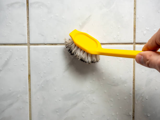 Best Preventive Mold Services in Kotzebue, AK