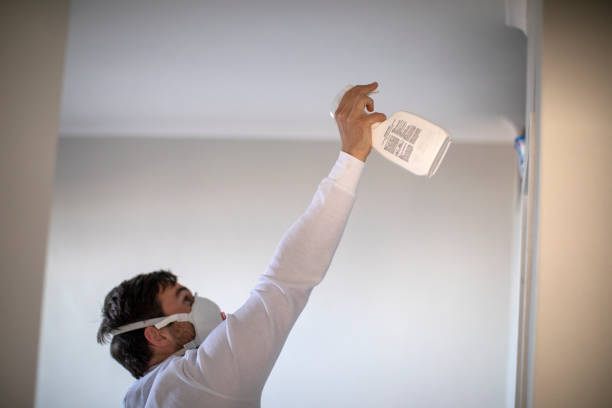 Best Industrial Mold Remediation in Kotzebue, AK