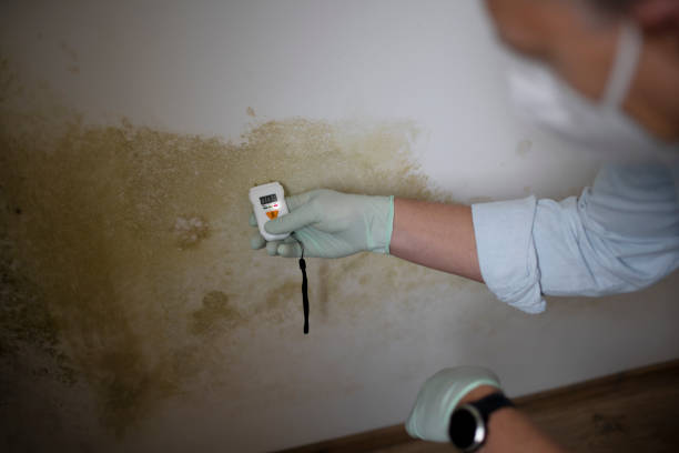 Best Crawl Space Mold Remediation in Kotzebue, AK
