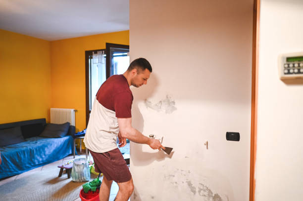 Best Residential Mold Remediation in Kotzebue, AK